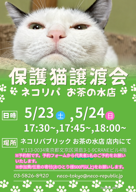 譲渡会 【保護猫譲渡会@ネコリパ東京 お茶の水店】(東京都)|ハグー 譲渡会 【保護猫譲渡会@ネコリパ東京 お茶の水店】(東京都)|ハグー