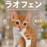 雑種