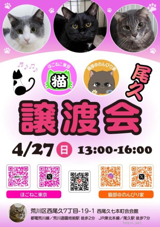 猫の里親募集】東京都・雑種・4/27尾久 可愛いエンジェルマーク♡ヒロ