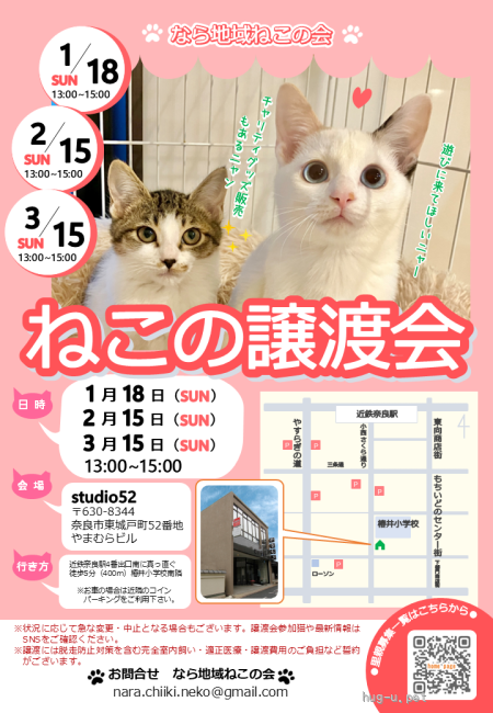 譲渡会 猫の譲渡会(奈良県)｜ハグー -みんなのペット里親情報
