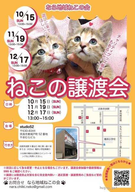 譲渡会 猫の譲渡会(奈良県)｜ハグー -みんなのペット里親情報