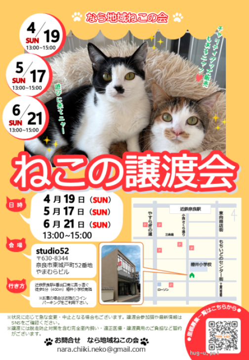 猫の里親募集】奈良県・雑種・【6/21譲渡会】ぼうしくん（2匹一緒