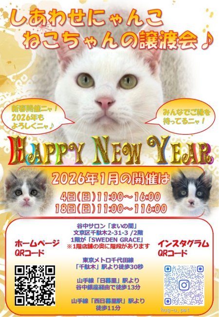 譲渡会 しあわせにゃんこ猫ちゃんの譲渡会IN谷根千「まいの間」(東京