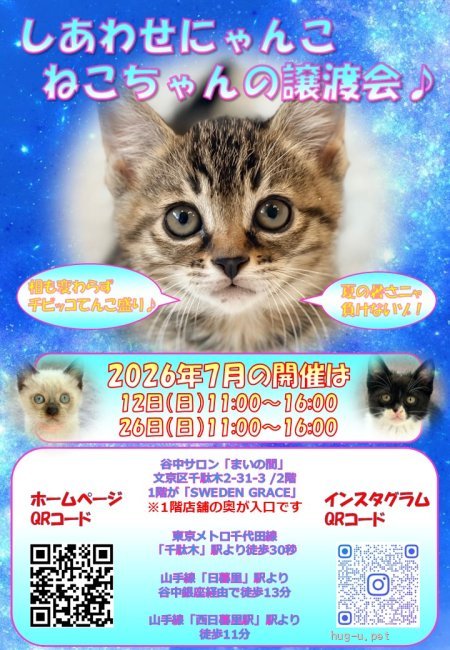 にゃん様ご予約ページ 譲渡会 しあわせにゃんこ猫ちゃんの譲渡会IN谷根千「まいの間」(東京