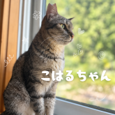雑種