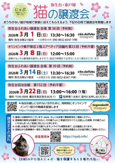 譲渡会 にゃぶ 猫の譲渡会(神奈川県)｜ハグー -みんなのペット里親情報