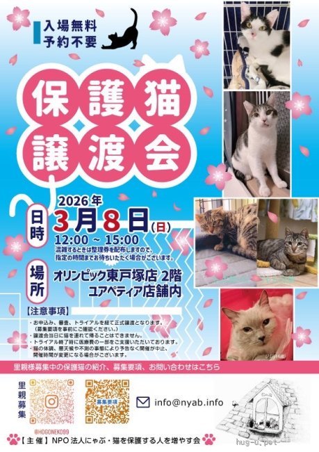 譲渡会 にゃぶ東戸塚オリンピック譲渡会(神奈川県)｜ハグー -みんなの