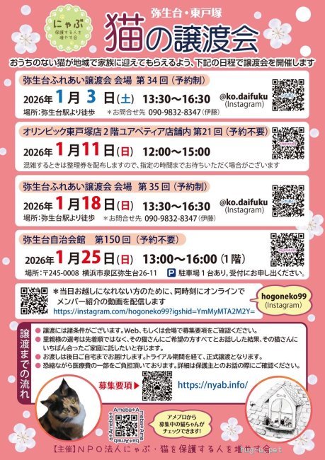 譲渡会 にゃぶ 猫の譲渡会(神奈川県)｜ハグー -みんなのペット里親情報