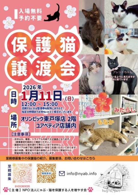 譲渡会 にゃぶ東戸塚オリンピック譲渡会(神奈川県)｜ハグー -みんなの