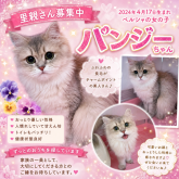 ペルシャ