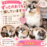 ミヌエット