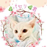 雑種