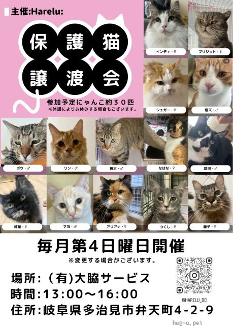 譲渡会 harelu譲渡会(岐阜県)｜ハグー -みんなのペット里親情報