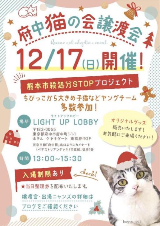 猫の里親募集】東京都・雑種・【12/17譲渡会出場】シャムミックス♀@約