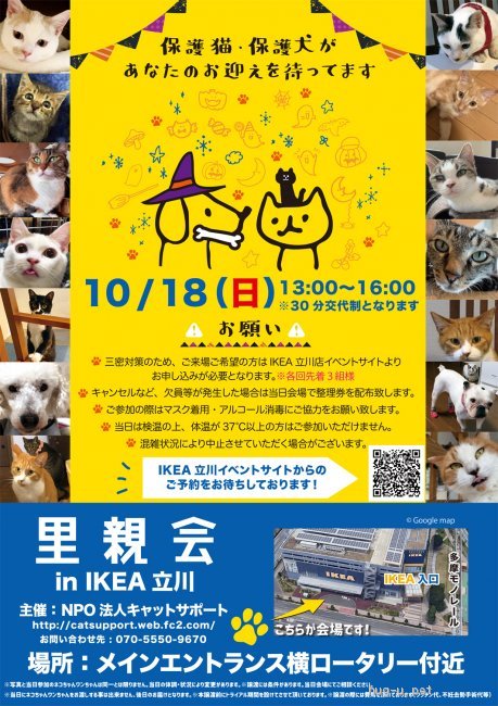 譲渡会開催 東京都 里親会 Ikea立川店 ハグー みんなのペット里親情報