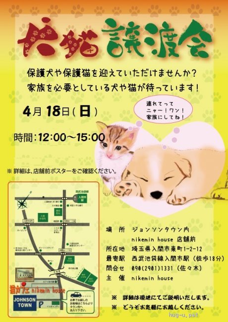 譲渡会 保護猫譲渡会 入間ジョンソンタウン 埼玉県 ハグー みんなのペット里親情報