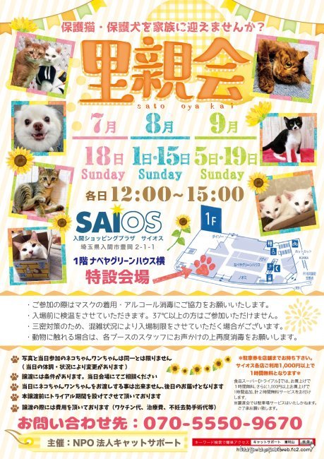 譲渡会開催 埼玉県 保護犬猫里親会 入間サイオス ハグー みんなのペット里親情報