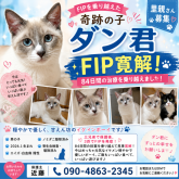 雑種