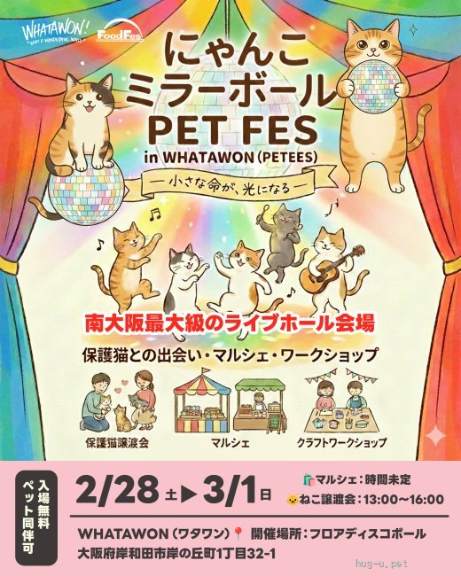 譲渡会 にゃんこ ミラーボール PET FES in WHATAWON(大阪府)｜ハグー