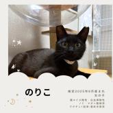 雑種