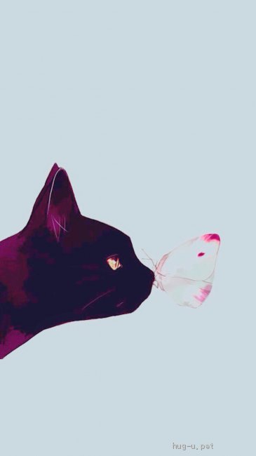 山形県で犬 猫の里親を探す保護活動者特集 みんなのペットライフ