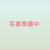 ポメラニアン