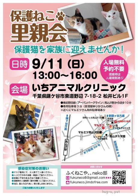 譲渡会 鎌ケ谷開催 ふくねこや。。neko部 ほごねこ里親会(千葉県