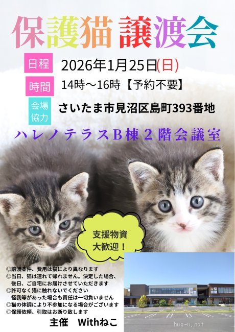 譲渡会 【さいたま市見沼区】1/25(日)ハレノテラス保護猫譲渡会(埼玉県 