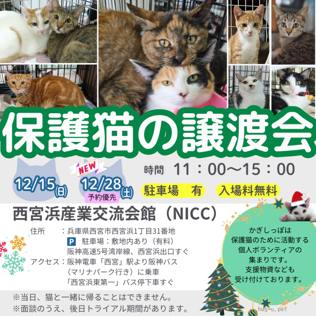 へっぽこ猫　まとめ買いページ 譲渡会 西宮保護ねこ かぎしっぽ主催譲渡会(兵庫県)｜ハグー -みんなの