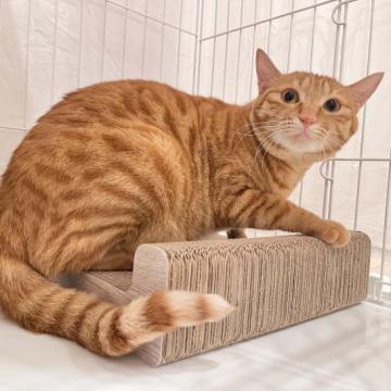 猫 × 茶トラの里親募集一覧｜ハグー -みんなのペット里親情報