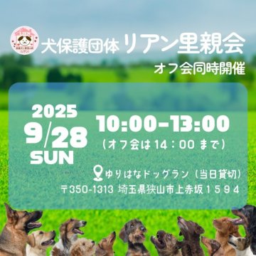 さいたま犬 譲渡会 犬保護団体リアン オフ会＆里親会(埼玉県)｜ハグー -みんなの