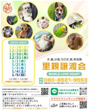 譲渡会 年末年始も開催！犬猫、鳥、小動物まで！World Love Heart 譲渡会(奈良県)｜ハグー -みんなのペット里親情報