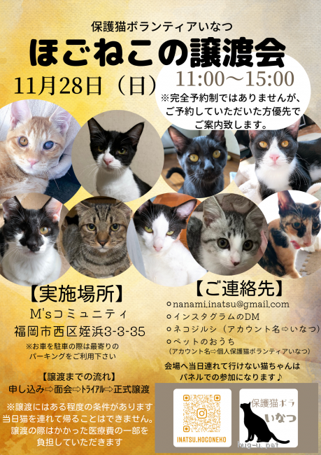 譲渡会 ほごねこの譲渡会in福岡市(福岡県)|ハグー -みんなの 譲渡会 ほごねこの譲渡会in福岡市(福岡県)|ハグー -みんなの