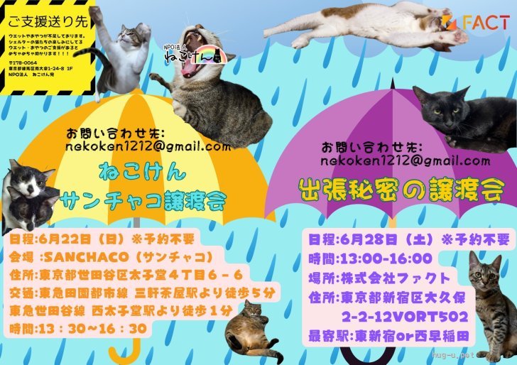 nekoさん専用ページ 譲渡会 ねこけんSANCHACO譲渡会(東京都)｜ハグー -みんなのペット里親情報