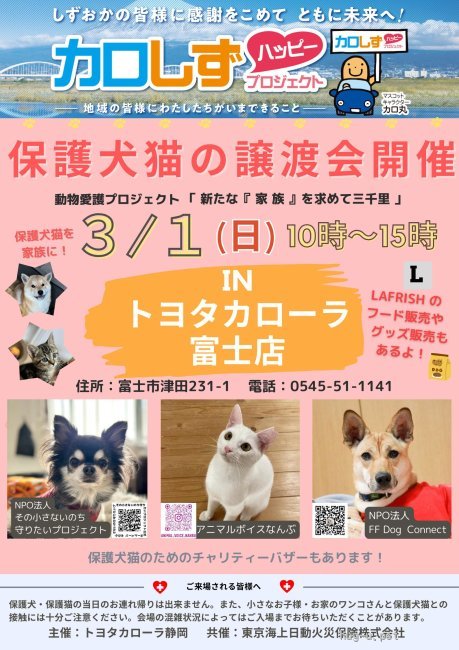 譲渡会 カロしず 保護犬猫の譲渡会(静岡県)｜ハグー -みんなのペット