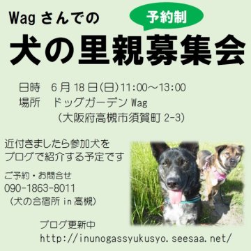 譲渡会 犬の里親募集会(大阪府)｜ハグー -みんなのペット里親情報