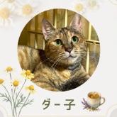 雑種