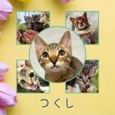 雑種
