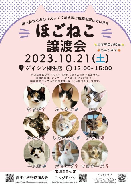 譲渡会 ほごねこ譲渡会(宮城県)｜ハグー -みんなのペット里親情報