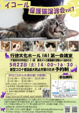 譲渡会開催 千葉県 イコール保護猫譲渡会 Vol 7 ハグー みんなのペット里親情報