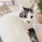 雑種