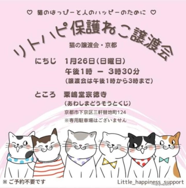 譲渡会 リトハピ保護ねこ譲渡会(京都府)｜ハグー -みんなのペット里親情報