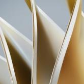 チワワ(ロング)