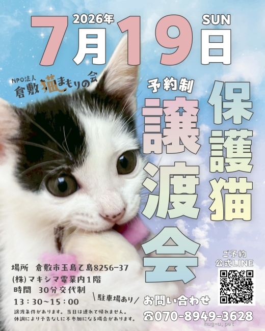 譲渡会 保護猫譲渡会（予約制）(岡山県)｜ハグー -みんなのペット里親情報