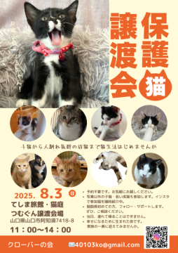 譲渡会 保護猫譲渡会(山口県)｜ハグー -みんなのペット里親情報