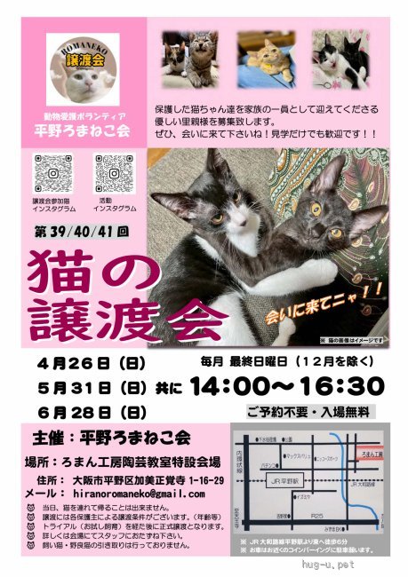 譲渡会 第40回 平野ろまねこ譲渡会(大阪府)｜ハグー -みんなのペット
