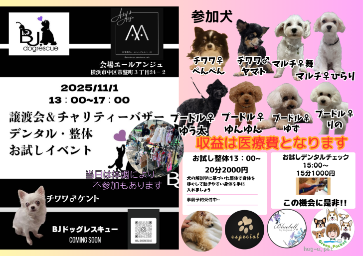 犬の里親募集】神奈川県・トイプードル・プードル♀ゆずちゃん（ID