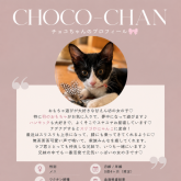雑種