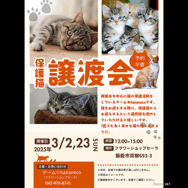 確認用保護猫ファミリー様