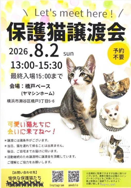 猫の里親募集】神奈川県・雑種・さくら♀ 8/2(日)横浜市瀬谷区譲渡会
